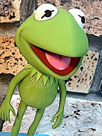 アメリカン雑貨 アメリカンフィギュア FUNKO ボビングヘッド KERMIT カーミット