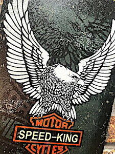 AJG uLŔ MOTOR SPEED-KING CYCLES CO |X^[ A[g A4TCY ^TC Ǐ pu o[ X K[W fBXvC