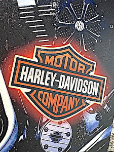 AJG CO |X^[ n[[_rbh\ ^ A[g A4TCY Ŕ ^TC Ǐ pu o[ X K[W fBXvC oCN