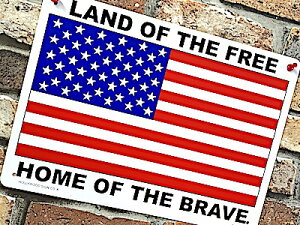 AJG vX`bNTC{[h  USA  tbO |X^[ Ŕ Ǌ| X K[W fBXvC