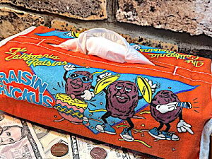 JtHjA [Y ObY AJG [vtǊ|eBbV{bNX CALIFORNIA RAISIN eBbVP[X J[pi ԗp