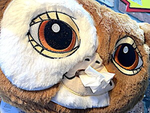 O MY ObY AJG [vtǊ|ʂ݃eBbVP[X J[pi ԗp