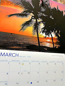 2026N ߘa8NJ_[ HAWAII ALOHA nC Ǌ| AJG nCAG Ŕ pu o[ ObY X K[W fBXvCy݉iz