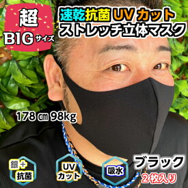 サイズ 大きい ウレタン マスク