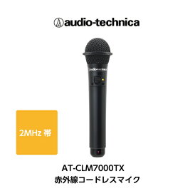 楽天市場 カラオケ ワイヤレスマイクの通販
