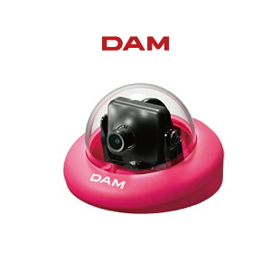 yVizDAMƂpJ DAM-MC9000