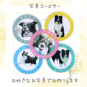 IWiR[X^[ ʐ^R[X^[ tHgR[X^[ R[X^[ AObY IWi vg I[_[Ch LbY q v[g I[i[ObY 킢  T