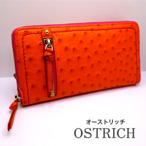   I[Xgb` v vz Eht@Xi[z Wbp[ U[EHbg fB[Xz I 킢  z fB[X g _ v[g 