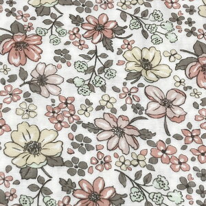 d K[[ @ y34x88cmzԕ Ăʂ { K[[tFCX^I  y RpNg K[[ʂ  K[f ₳^I  xr[ t[ l a  xr[ 