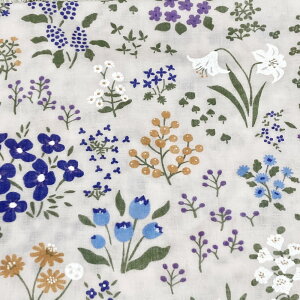 d K[[ @ y34x88cmzԕ Ăʂ { K[[tFCX^I  y RpNg K[[ʂ  K[f ₳^I  xr[ t[ l a  xr[ 