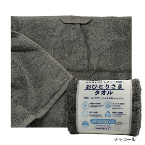 ЂƂ肳܃^Iy34×110cmzRۖhL [vt^I ЂƂ炵ɍœKTCY OtFCX^I ~joX^I XoX^I GRebNXX^_[h100  ÔQ