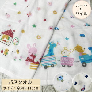 ڂ oX^Iy64×115cmzK[[ pC  t[c } ZJh[Y Ԃ^I xr[ K[[ ЖʃK[[  ӂ 炩  z RpNg 