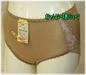 y݌Ɍz[Xgp ȌyփV[ciLL 3LTCYj [֑