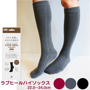 y[֑zuq[ nC\bNXiƂj̗₦΍