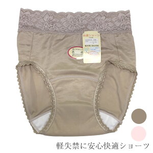 y݌Ɍz[Xgp EGXg[X ȌyփV[c KV[c TTbVłK { iM902 LL904 3L905jȃ[X̃fUC ɗD