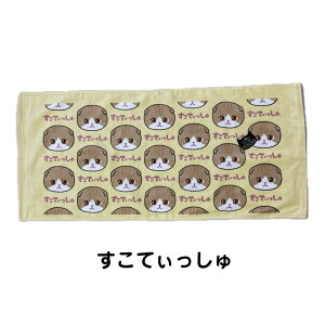 にゃんにゃんにゃーるど フェイスタオル 約34×75cm ふわふわ 柔らか シャーリング 染料プリント 猫柄 ねこ にゃんこ ネコ 保育園 幼稚園 粗品 贈答 プレゼント 可愛い ねこの顔柄 ニャンニャ