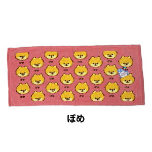 ワンワンワールド フェイスタオル 約34×75cm ふわふわ 柔らか シャーリング 染料プリント 犬柄 いぬ わんこ 保育園 幼稚園 粗品 贈答 プレゼント 可愛い 犬の顔柄 WAN WAN WORLD わんわんわーるど
