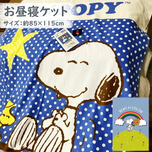 yʌzvgQPbg@85×115cm Xk[s[ pCvg qǂ@ۈ牀@ct@@LN^[@킢 xr[ Ԃ ^IPbg _炩G