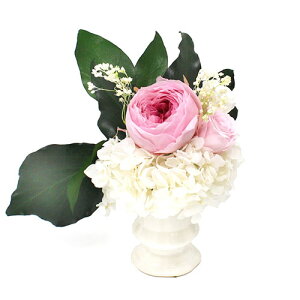 yN[|zz&X[p[SALEΏہzA&K MtgV[Y 蕨ɍœKȃvU[uht[ -Ann- AKM-003