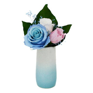 yX[p[SALEŃ|Cgő47{zA&K MtgV[Y 蕨ɍœKȃvU[uht[ ۖ-Pomu-() AKF-072