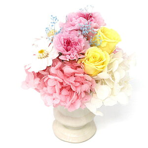 yX[p[SALEŃ|Cgő47{zA&K MtgV[Y 蕨ɍœKȃvU[uht[ ~j MF-10