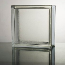 【クーポン配布中】【送料無料】6個セット ガラスブロックガラス 厚み95mm