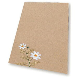 �y�|�C���g20�{�z�y20���g×5�Z�b�g�z ARTEC ���{�[���� 4�� ATC11266X5