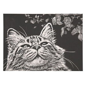 y|Cg20{zy20Zbgz ARTEC XNb`{[hgȂ ATC13177X20