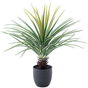 yN[|zz&X[p[SALEΏہzJ tFCNO[ ~jpCibv O[ GRN-12