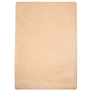 y|Cg20{zٖ{D@҂݃O@200×200cm@AJRW200