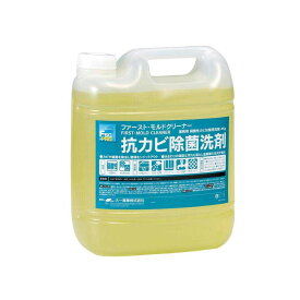 【クーポン配布中】抗カビ除菌洗剤　FSC-PROファースト・モルドクリーナー4kg 23020052