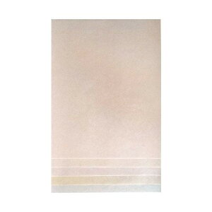 【ポイント20倍】新料紙 夢 中字 5色セット 全懐紙 25枚 AG31-3