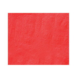 y}\Pő47{z|aݎ@傤傤 CK101