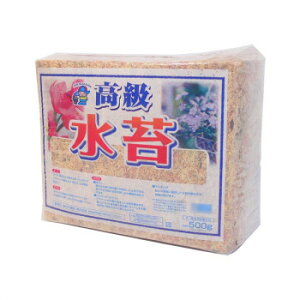 yN[|zz&X[p[SALEΏہz| `Y   500g 12 1240012