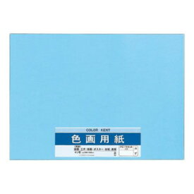 【ポイント20倍】色画用紙 N431 みず 10セット Pエ-N43LB