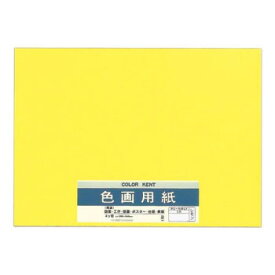 【ポイント20倍】色画用紙 N455 レモン 10セット Pエ-N45LY