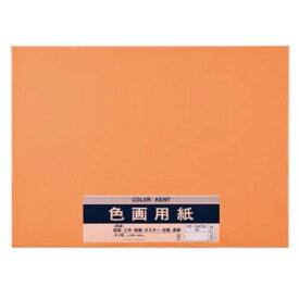 【ポイント20倍】色画用紙 N471 オレンジ 10セット Pエ-N47DA
