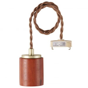 �y�|�C���g20�{�zELPA(�G���p) �y���_���g�\�P�b�g�@�ؖڃ_�[�N�@PD-WE26D