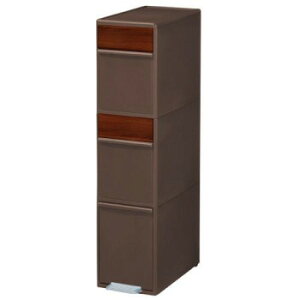 y|Cg20{zʃXCOXe[V3i (ؖڒpl) BWP-12BSWS DBr_[NuE