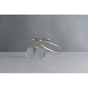 y|Cg20{zSABAE LOUPE ΂[yVer.2 sNS[h2.0{ SLB-10120PG