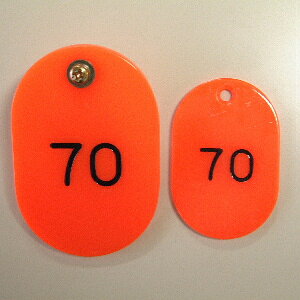 y|Cg20{zi܂Ƃ߁j ԍD NE eqD@21gEX`[  CR-OY100-R 4953349083097 51?100 1y×2Zbgz