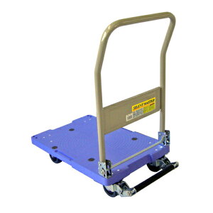 yN[|zzzyPiz  iV TCg}X^[ u[ DSK-101B 4942279571132