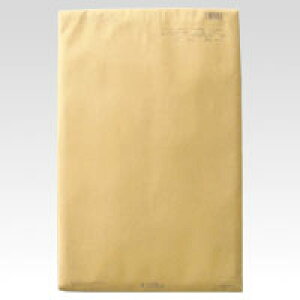 【クーポン配布中】(まとめ) 緩衝材入り封筒 菅公工業 パースルバッグ タ106 4971655401060 ●規格:A3判用●外寸:縦460×横320mm●内寸:縦445×横310mm 1枚【×50セット】