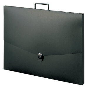 yN[|zzzi܂Ƃ߁j 唻LOobO ZLZC A^[gP[X ubN ART-850-60 4974214113831 KiFlcؔ 1y×10Zbgz