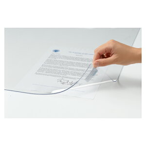 yN[|zzzyPiz fXN}bg NE Rs[X CR-CS166-T 4953349100480 c×immjF595×1595