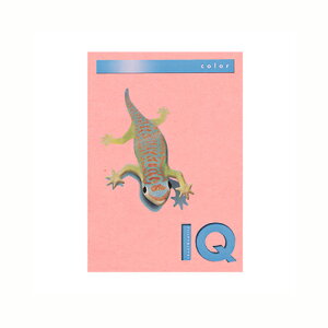 【クーポン配布中】(まとめ) コピー用紙(カラー用紙) 伊東屋 バイオトップカラー ピンク BT704 9003974406763 1冊【×5セット】