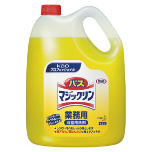 yN[|zzzi܂Ƃ߁j ƒp ԉ oX}WbN 021205 4901301021205 eʁF4D5l 1{y×4Zbgz