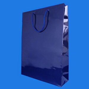 yN[|zzzi܂Ƃ߁j  VW} HEIKO@uCgobO  006138023 4901755559194 OFc450×330×}`100mm 1y×80Zbgz