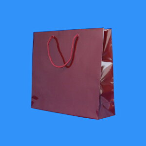 y|Cg20{zi܂Ƃ߁j  VW} HEIKO@uCgobO 񂶐F 006137902 4901755558838 OFc300×330×}`100mm 1y×50Zbgz