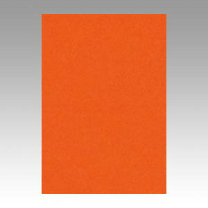 �y�|�C���g20�{�z�i�܂Ƃ߁j �F��p�� ���^�� �j���[�J���[R ��F 8NCR-235 4954022682354 1���y×10�Z�b�g�z